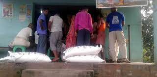 चितवनमा युरिया मलको हाहाकार, समयमा आपूर्ति हुन नसक्दा किसान मर्कामा