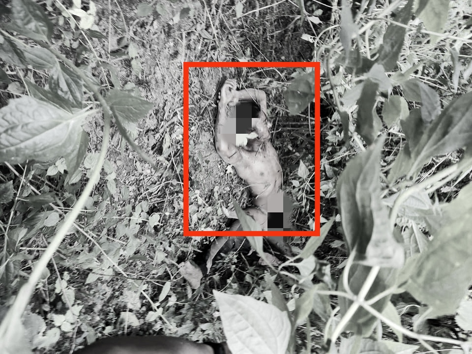 अपडेट : झाडीमा भेटियो बाघले खाएको चितवनका बोटेको शव