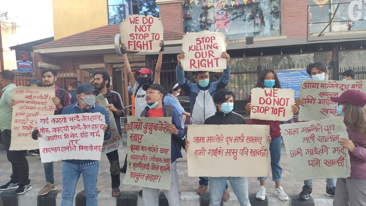 ‘गाई काटेर खानु हाम्रो अधिकार हो, अपराध होइन’