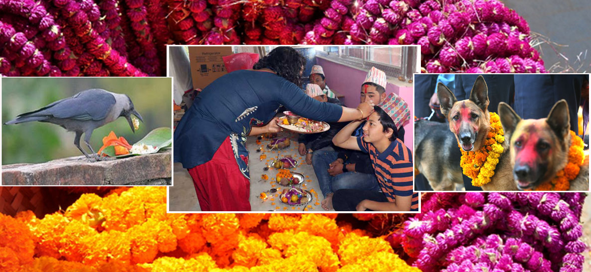 किन मनाइन्छ तिहार : यस्तो छ तिहार पर्वको महिमा