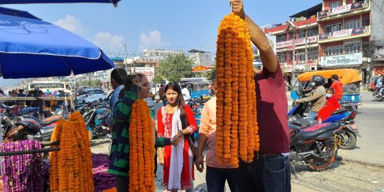 चितवनका किसानले तिहारमा बेचे २ करोडको माला