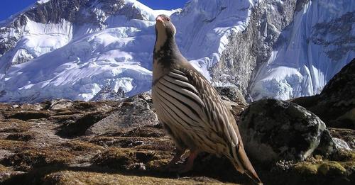 नेपाल विश्वकै सुन्दर देशको पहिलो स्थानमा, भारत सूचीमै परेन