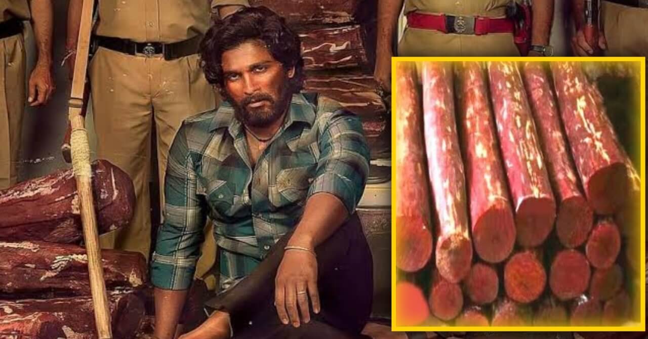 ‘पुष्पा’ फिल्मको दृश्य वास्तविकतामै देखियो, ५८ जना प’क्राउ