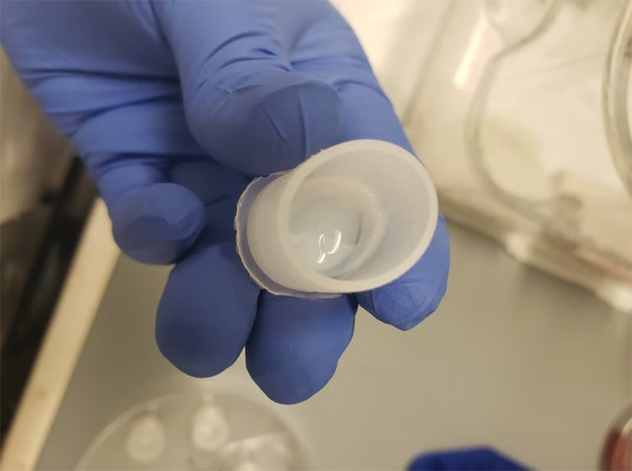 अब काटिएका हातखुट्टा पलाउने !