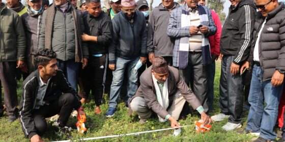 भूमि आयोग अध्यक्ष तिमिल्सिनाको सकृयाता बढ्यो, बाँदरझुलामा सुरु भयो फिल्डमै गएर जग्गा छुटाउने काम