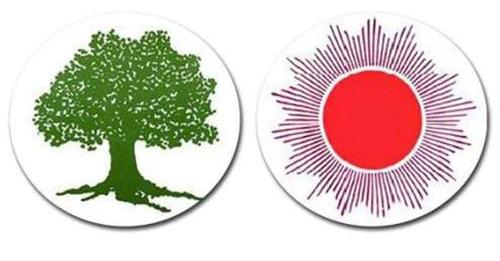 म कांग्रेस र एमालेको भोट काटेर जित्न आएको हुँः बालेन शाह