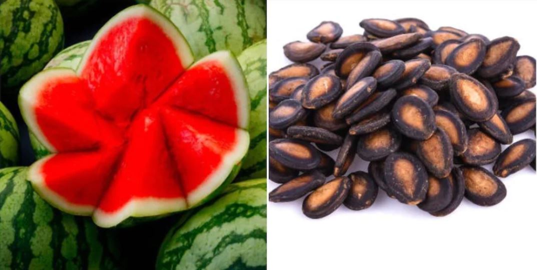 मोटोपन घटाउनदेखि छाला सुन्दर बनाउनसम्म लाभदायी छ त’रबुजाको बियाँ, यसरी गर्नुस् प्रयोग