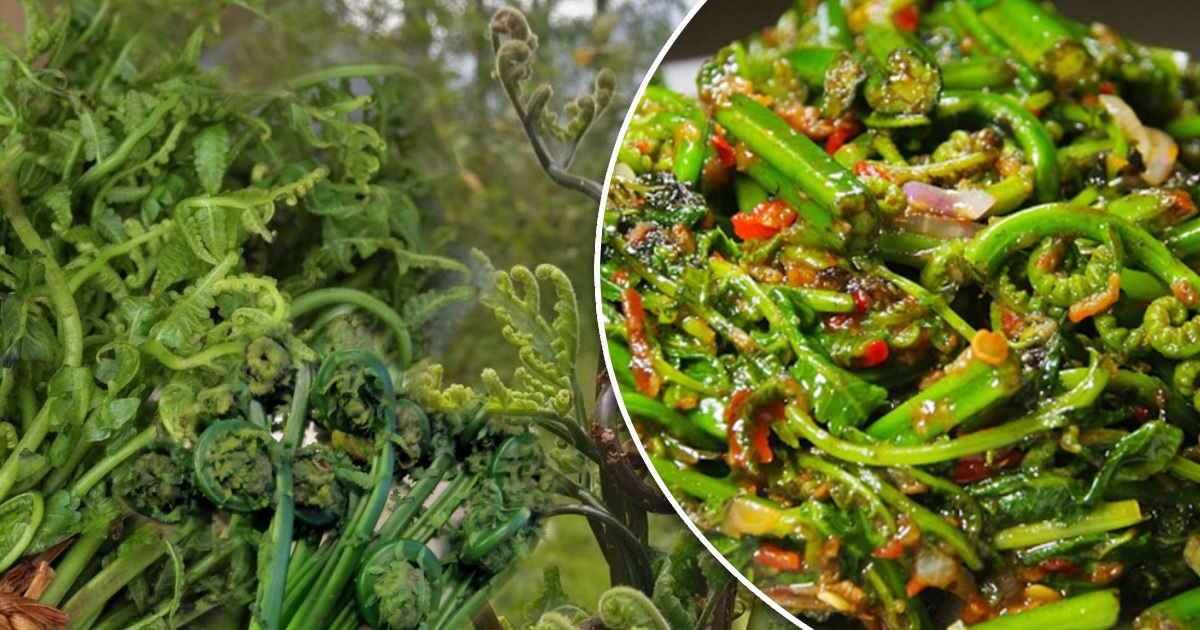 यस कारण खानुहोस निगुरो, जैविक, अत्यन्तै पोषिलो र स्वादिलो