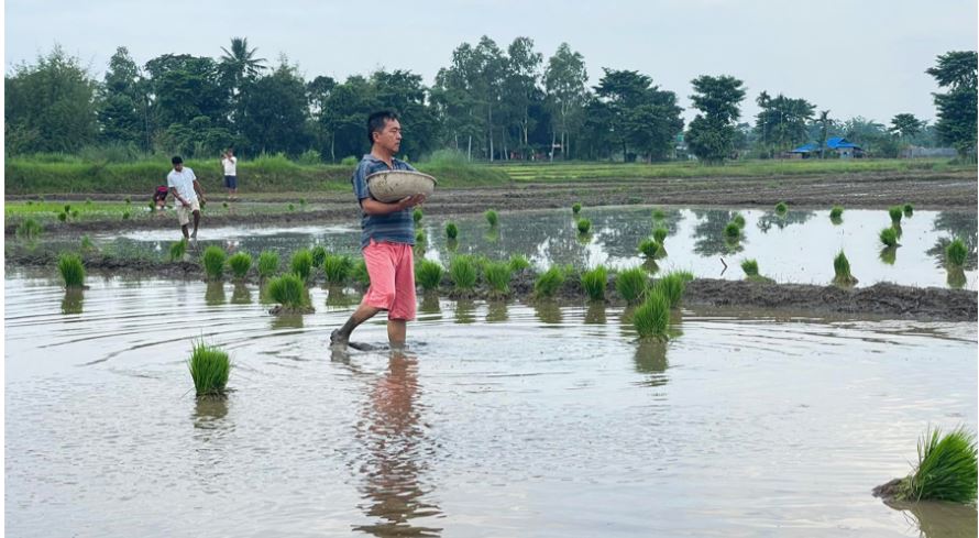 खेतमा काम गर्दै राप्रपा अध्यक्ष लिङ्देन