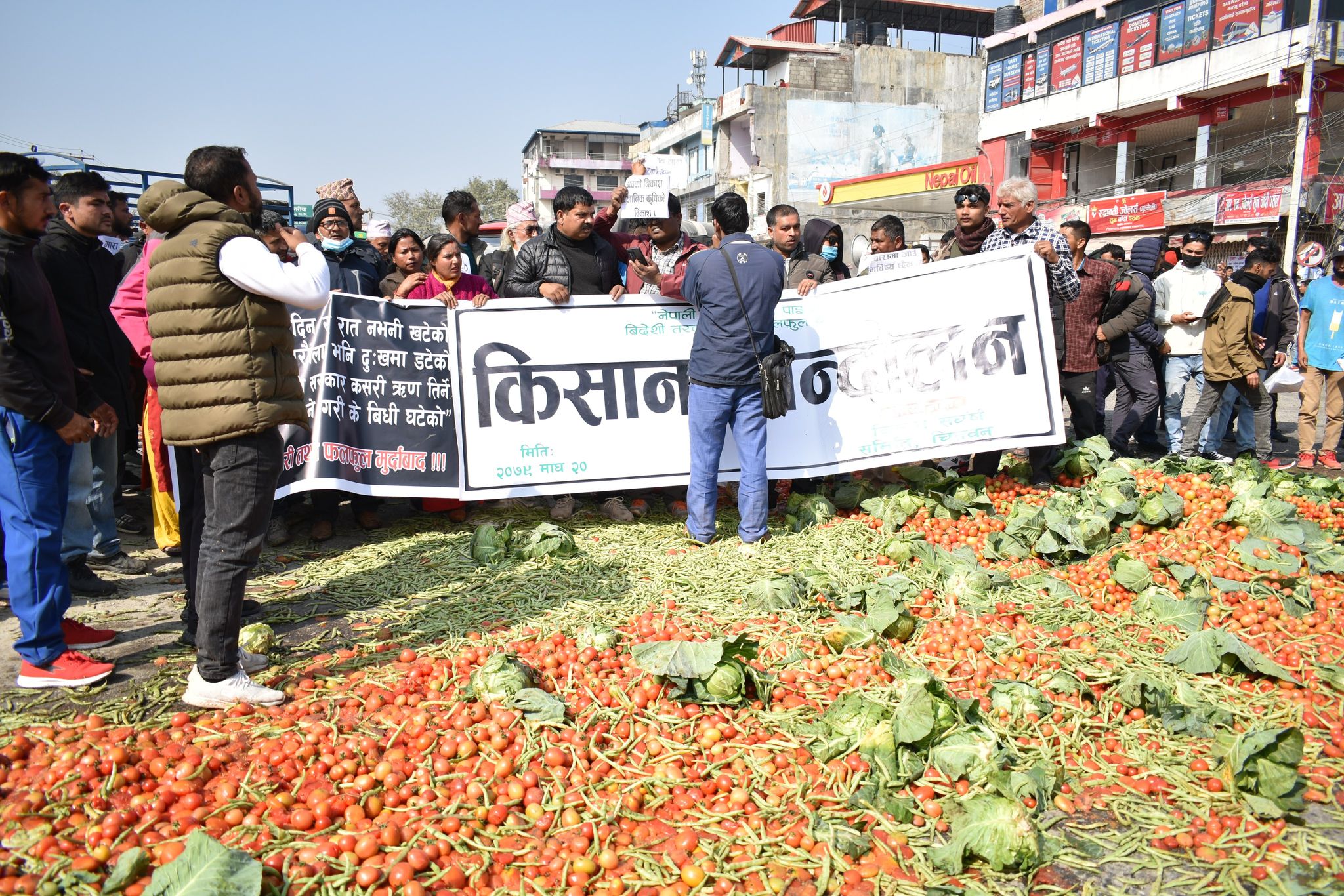 चितवनका तरकारी उत्पादक किसानहरुले सडकमै तरकारी फ्याँकेर गरे विरोध