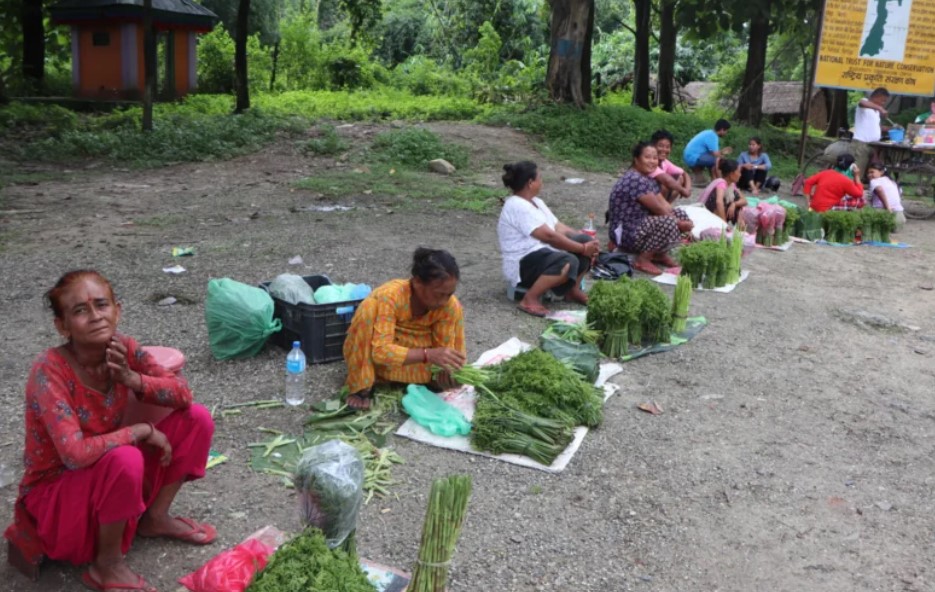 निउरो बेचेर घर खर्च