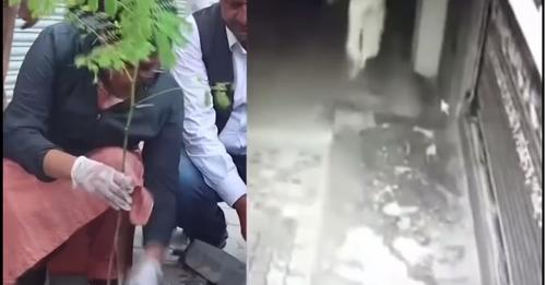 भरतपुरमा बिरूवा उखेल्ने महिलालाई २५ सय जरिवाना