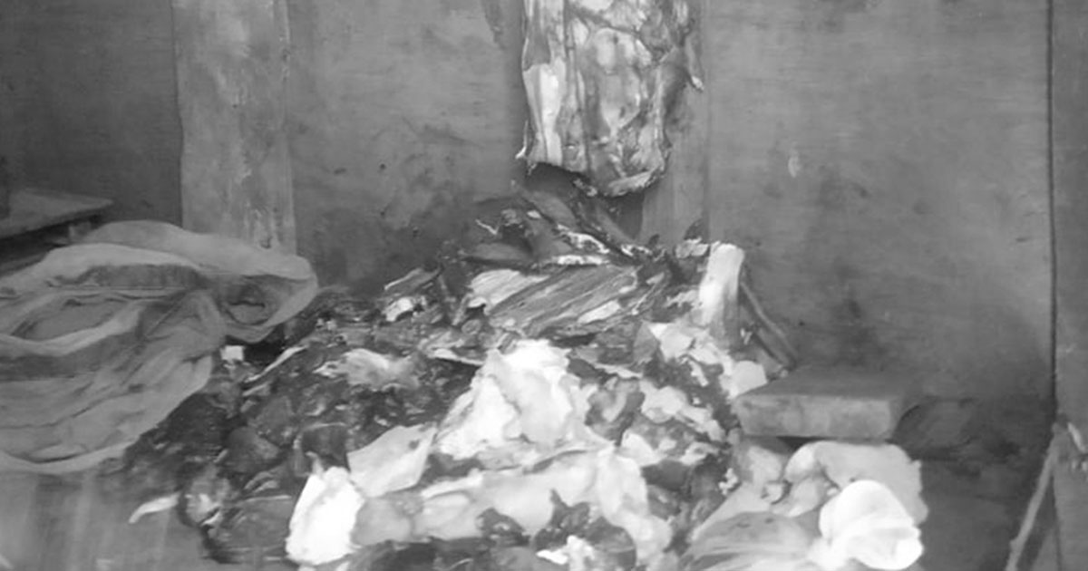 ग्राहकलाई खुवाउन राखेको मासु सडेको भेटिएपछि…