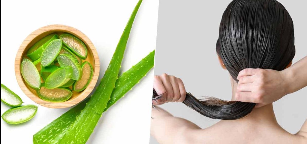 घिउकुमारी कपालमा लगाउँदा के हुन्छन् फाइदा ?