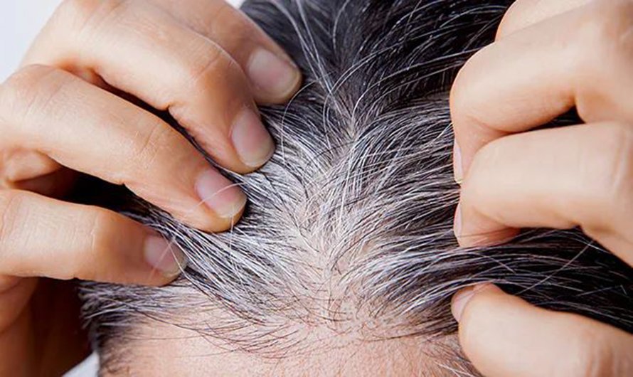 नरिवलको तेलमा मेथी मिसाएर लगाउँदा कपाल फुल्दैन् ?