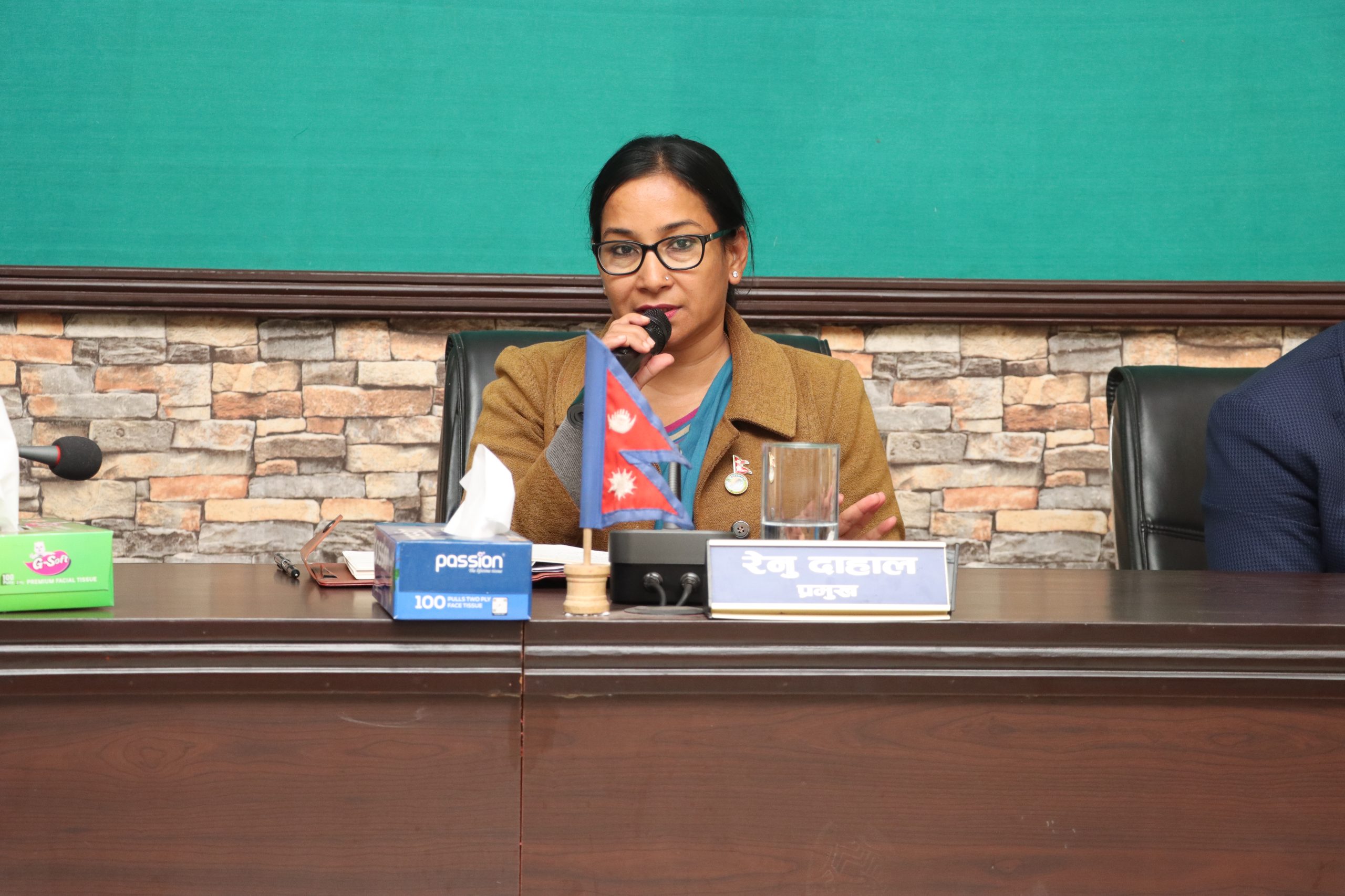 ‘भरतपुर ब्राण्ड’ स्थापित गर्न भरतपुर भ्रमण वर्ष २०२४ को आयोजना: प्रमुख रेनु दाहाल