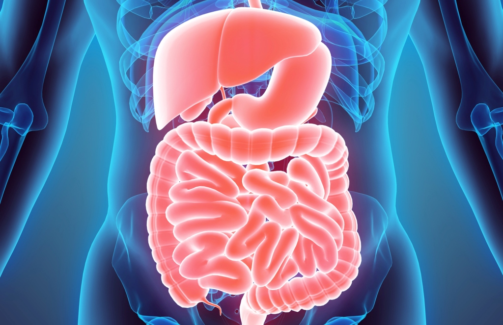 खाएको कुरा नपचेर हैरान हुनुभएको छ ?