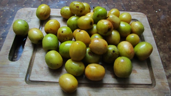 यस्ता छन् लप्सीका फाईदा ……