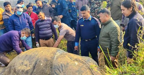 चितवन राष्ट्रिय निकुञ्जमा १० महिनामा मरे २१ एकसिंगे गैँडा