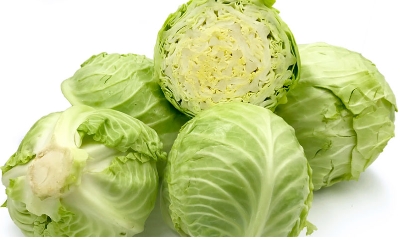 यी हुन् बन्दागोभी खानुका आठ फाइदा