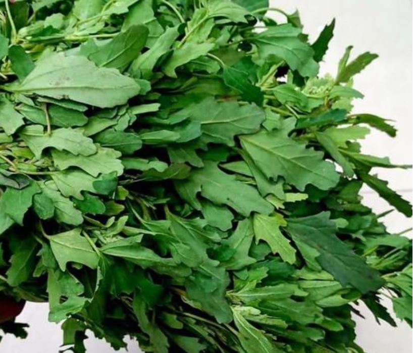 महिलाको स्वास्थ्यका लागि बेथेको सागका फाइदा