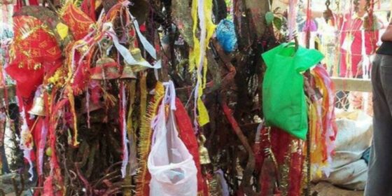 भरतपुर महानगरले विक्रमबाबा मेलालाई नयाँ र फरक ढंगबाट सञ्चालन गर्ने