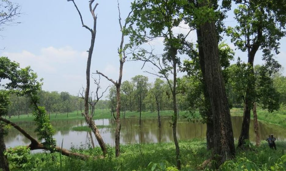 प्रचारप्रसार नहुँदा ओझेलमा भरतपुरको राइनो ताल