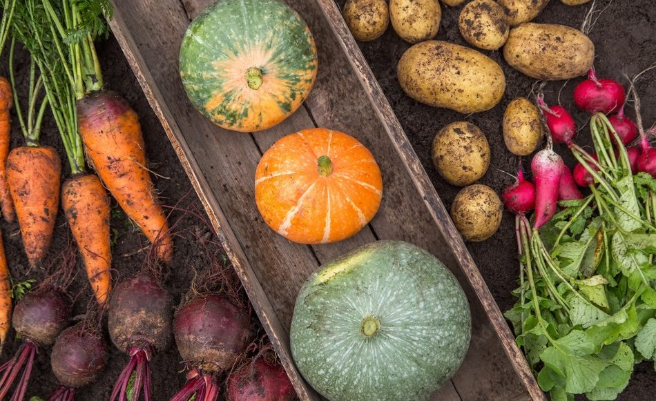 यस्ता तरकारीको बोक्रामा लुकेको हुन्छ पोषण