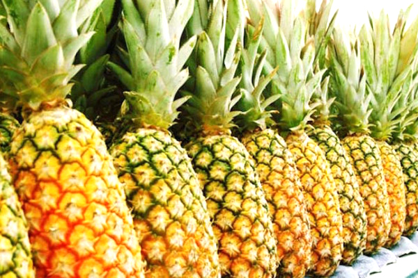 पोषक तत्त्वले भरिपूर्ण भुइँ कटहर, क्यान्सरको जोखिम कम गर्न प्रभावकारी