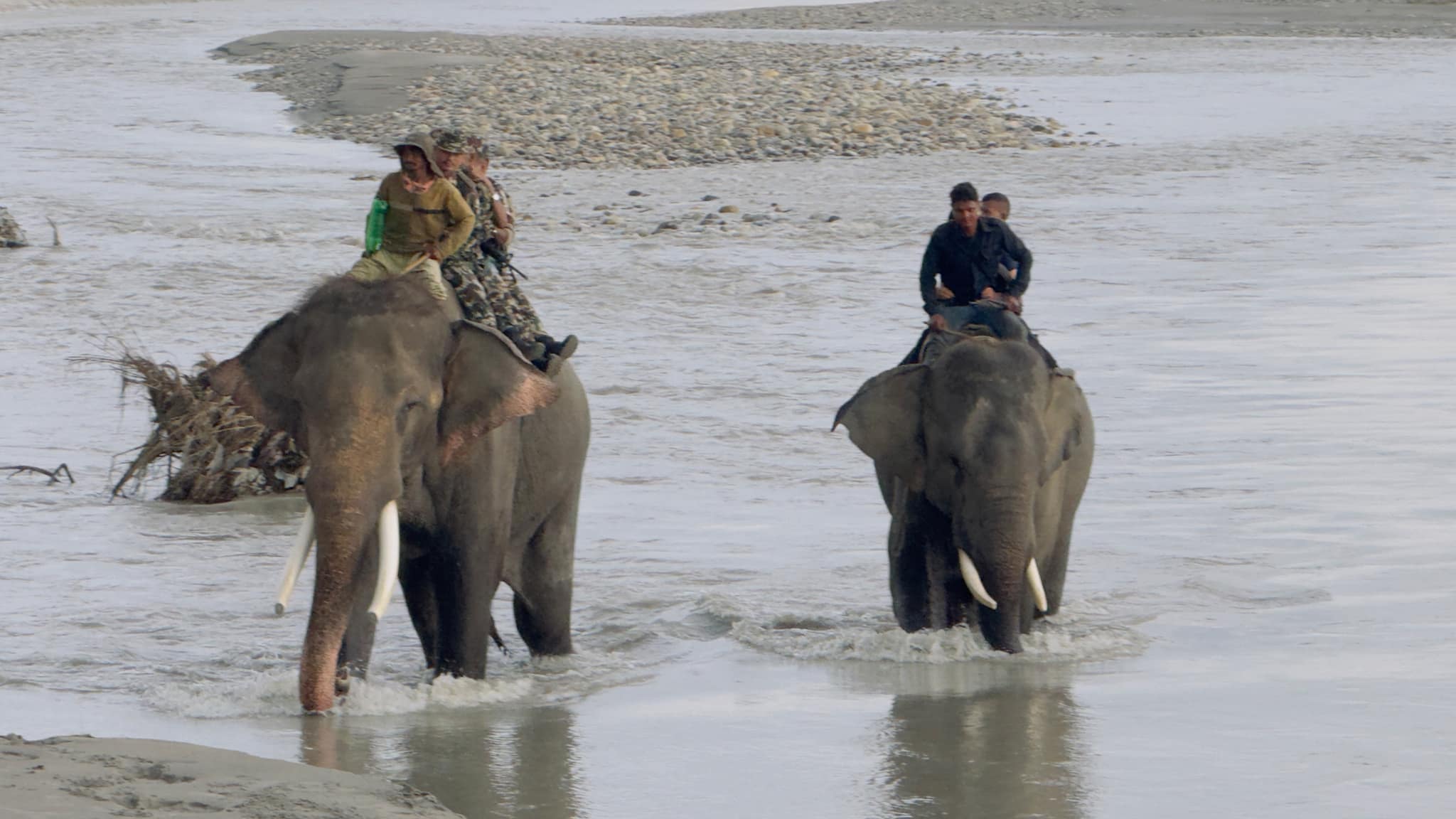 चितवनको राप्ती नदीमा बेपत्ता दुई युवकको अवस्था अज्ञात, खोजी जारी