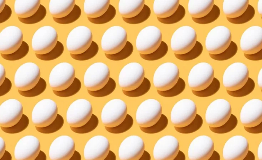 जब एक विद्यार्थीले २८ दिनमै खाए ७२० अण्डा