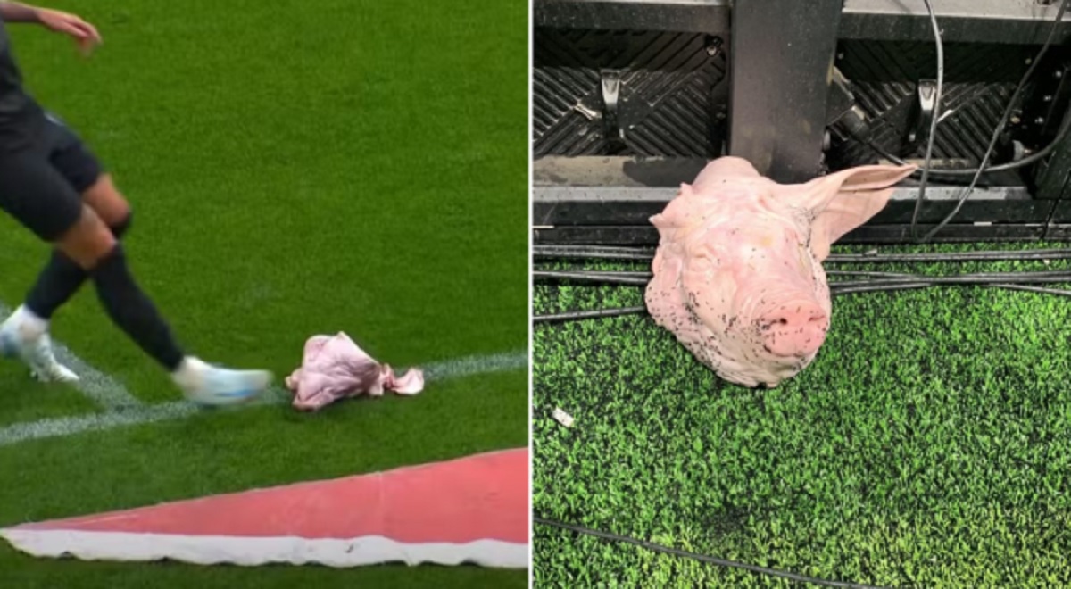 जब फुटबल चलिरहेका बेला मैदानमा फ्याँकियो सुँगुरको टाउको