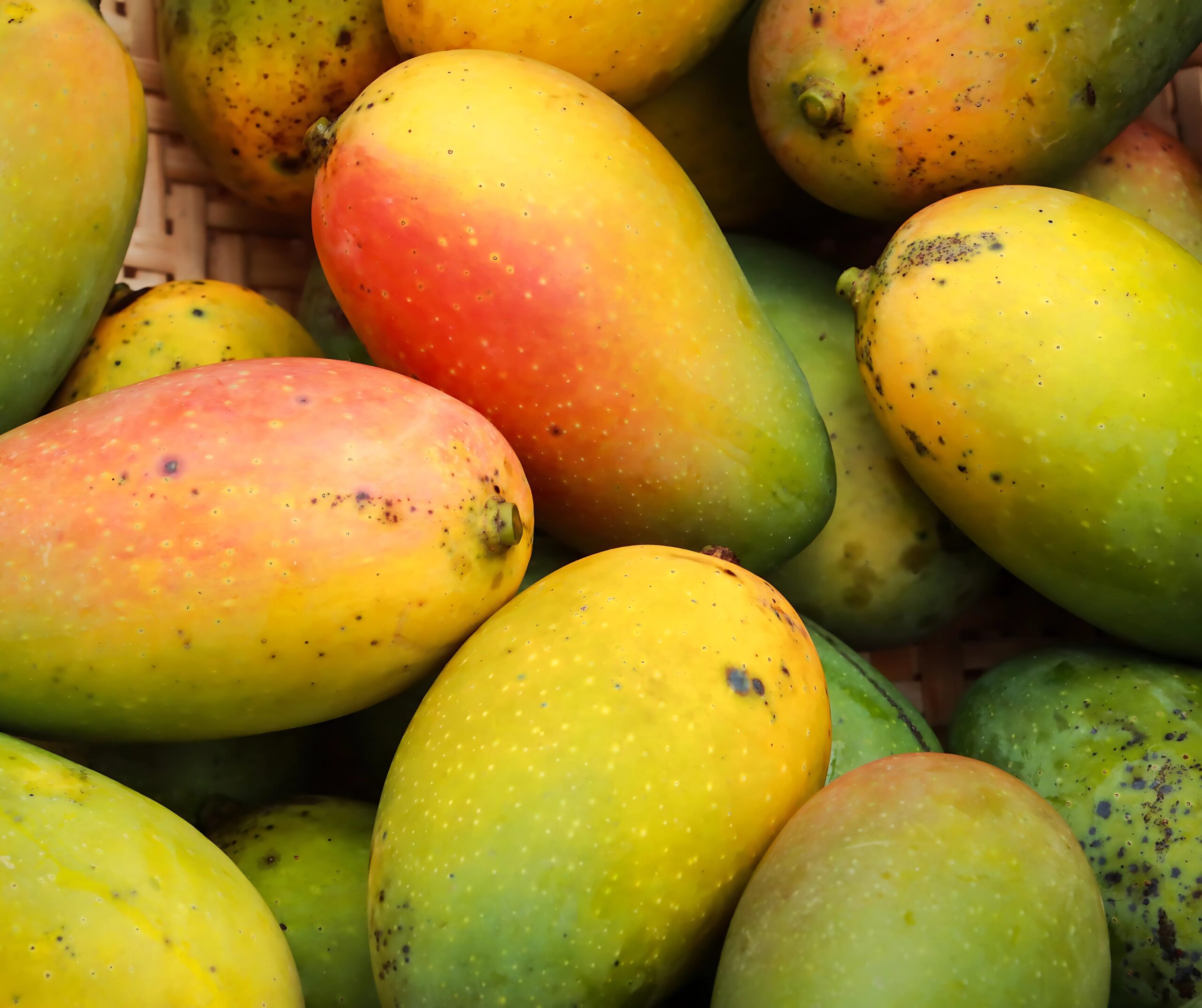 अब यसरी सजिलै चिन्नुहोस् केमीकल हालेको आँप