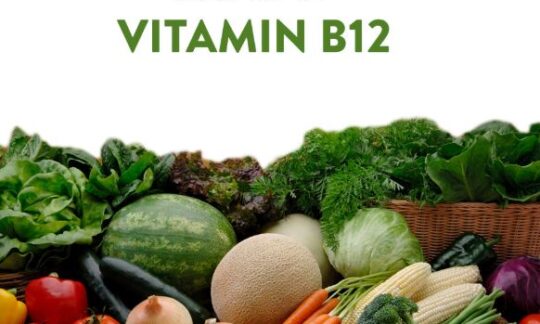 शाकाहारीले भिटामिन बि १२ प्राप्त गर्न खानै पर्ने यी हुन ३ चीज