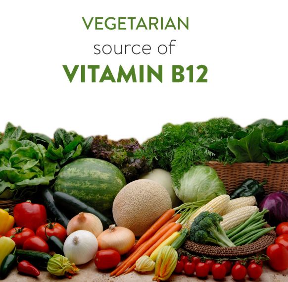 शाकाहारीले भिटामिन बि १२ प्राप्त गर्न खानै पर्ने यी हुन ३ चीज