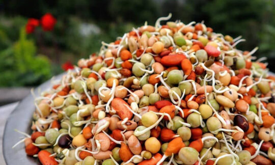 जनै पूर्णिमाको दिन ९ प्रकारका गेडागुडीको क्वाँटी किन खाने ?