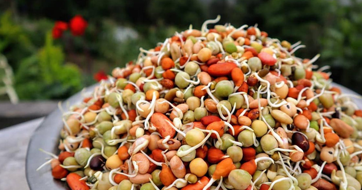 जनै पूर्णिमाको दिन ९ प्रकारका गेडागुडीको क्वाँटी किन खाने ?